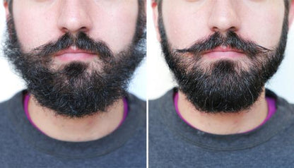 2 in 1 HAIR & BEARD STRAIGHTENER
